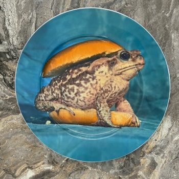 Šķīvis Toad, 27cm