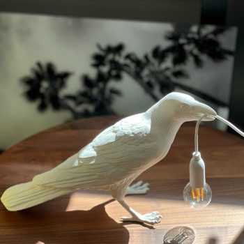 Galda lampa Bird Lamp Waiting, iekštelpām un ārtelpām