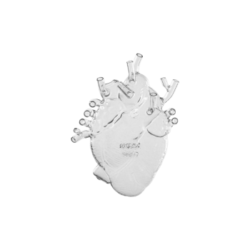 Vāze LOVE IN BLOOM, stikla