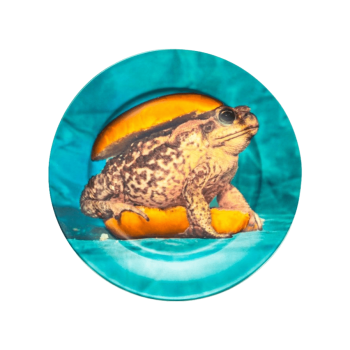 Šķīvis Toad, 27cm