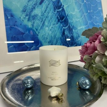 Aromātiska svece Astro (Zivis)