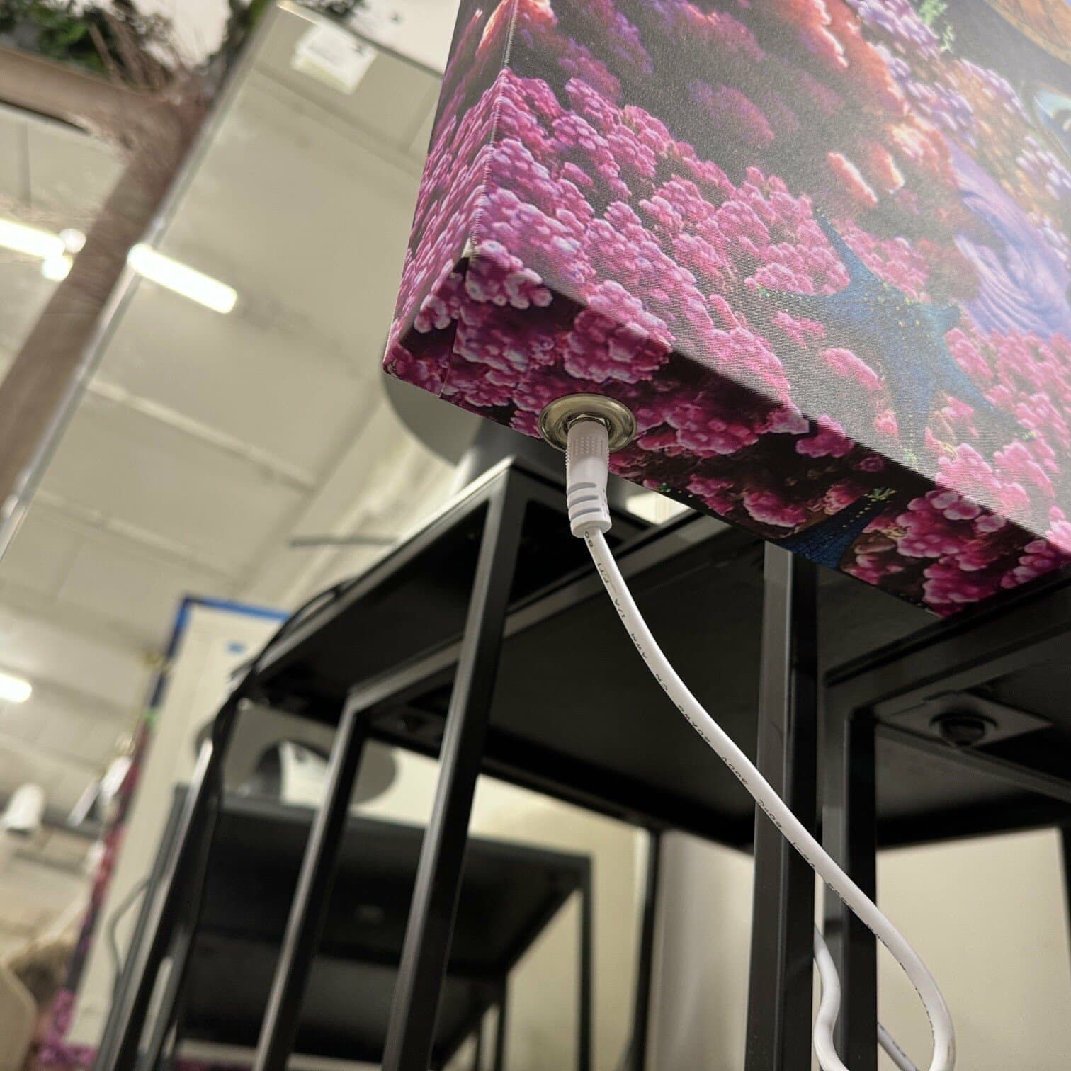 Audekla apdruka, Zivis virs koraļļu rifa, ar LED apgaismojumu Audekla apdruka, Zivis virs koraļļu rifa, ar LED apgaismojumu