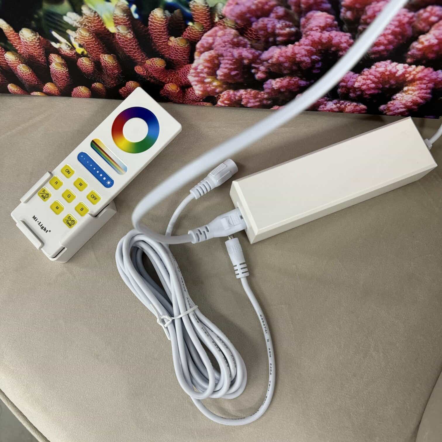 Audekla apdruka, Zivis virs koraļļu rifa, ar LED apgaismojumu Audekla apdruka, Zivis virs koraļļu rifa, ar LED apgaismojumu