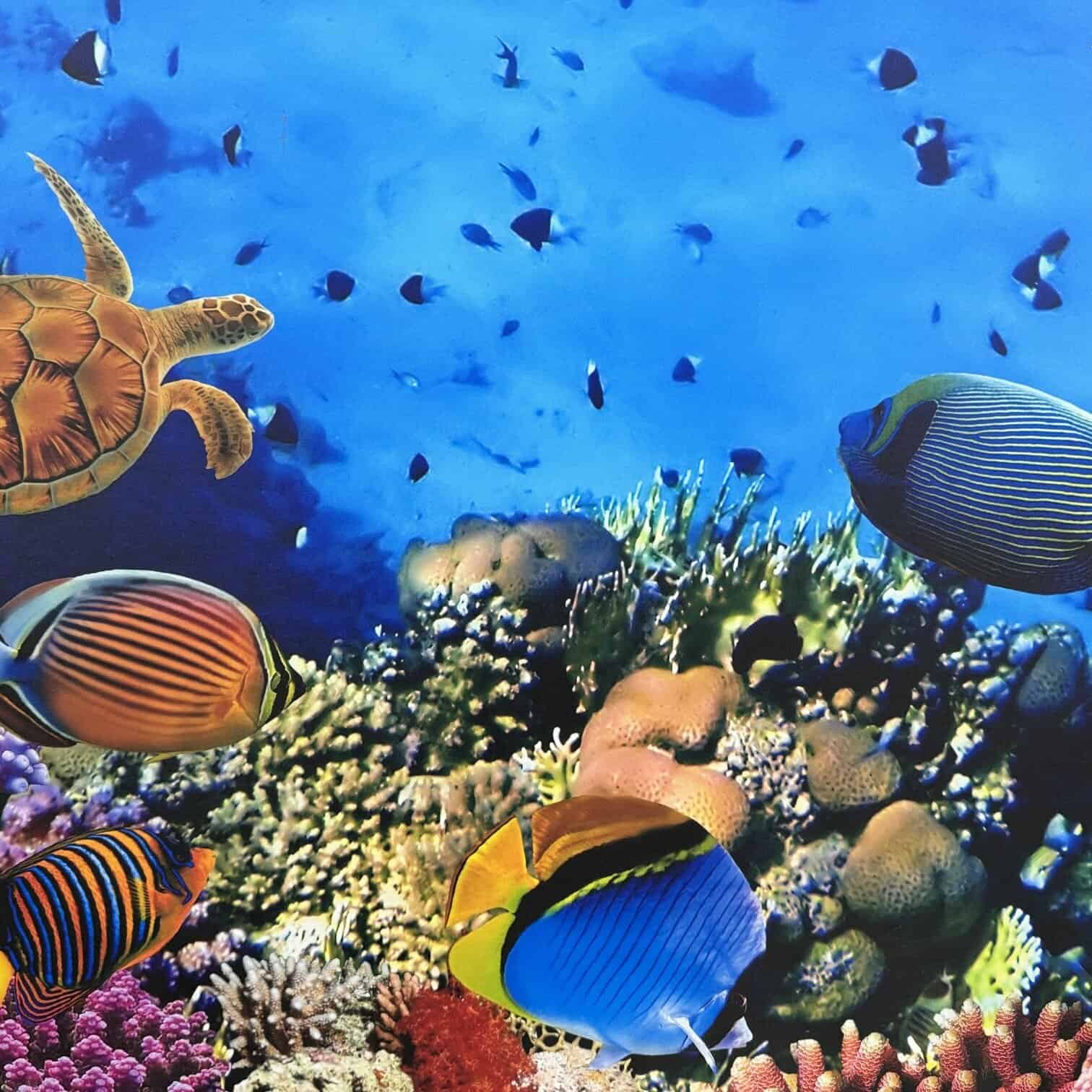 Audekla apdruka, Zivis virs koraļļu rifa, ar LED apgaismojumu Audekla apdruka, Zivis virs koraļļu rifa, ar LED apgaismojumu