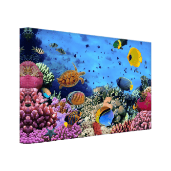 Audekla apdruka, Zivis virs koraļļu rifa, ar LED apgaismojumu