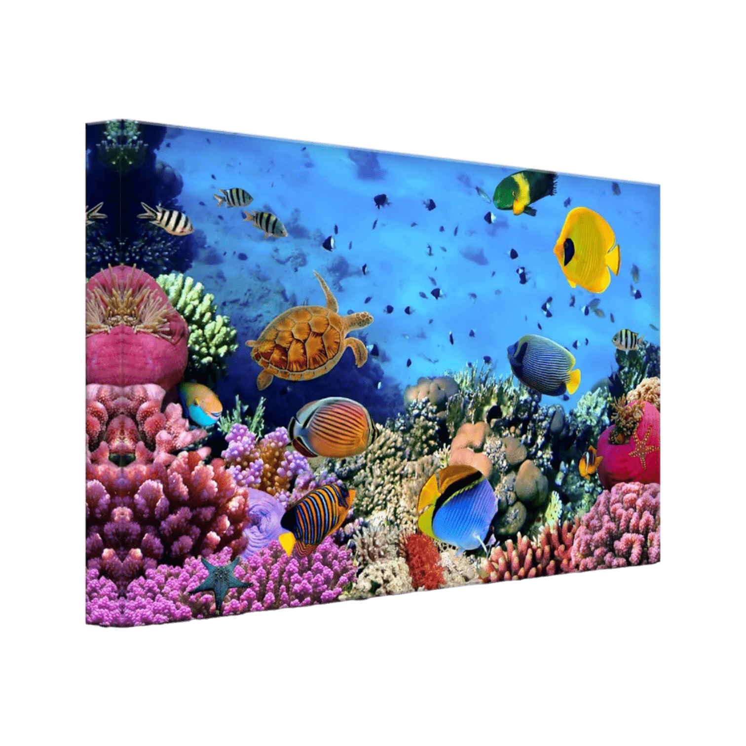 Audekla apdruka, Zivis virs koraļļu rifa, ar LED apgaismojumu Audekla apdruka, Zivis virs koraļļu rifa, ar LED apgaismojumu