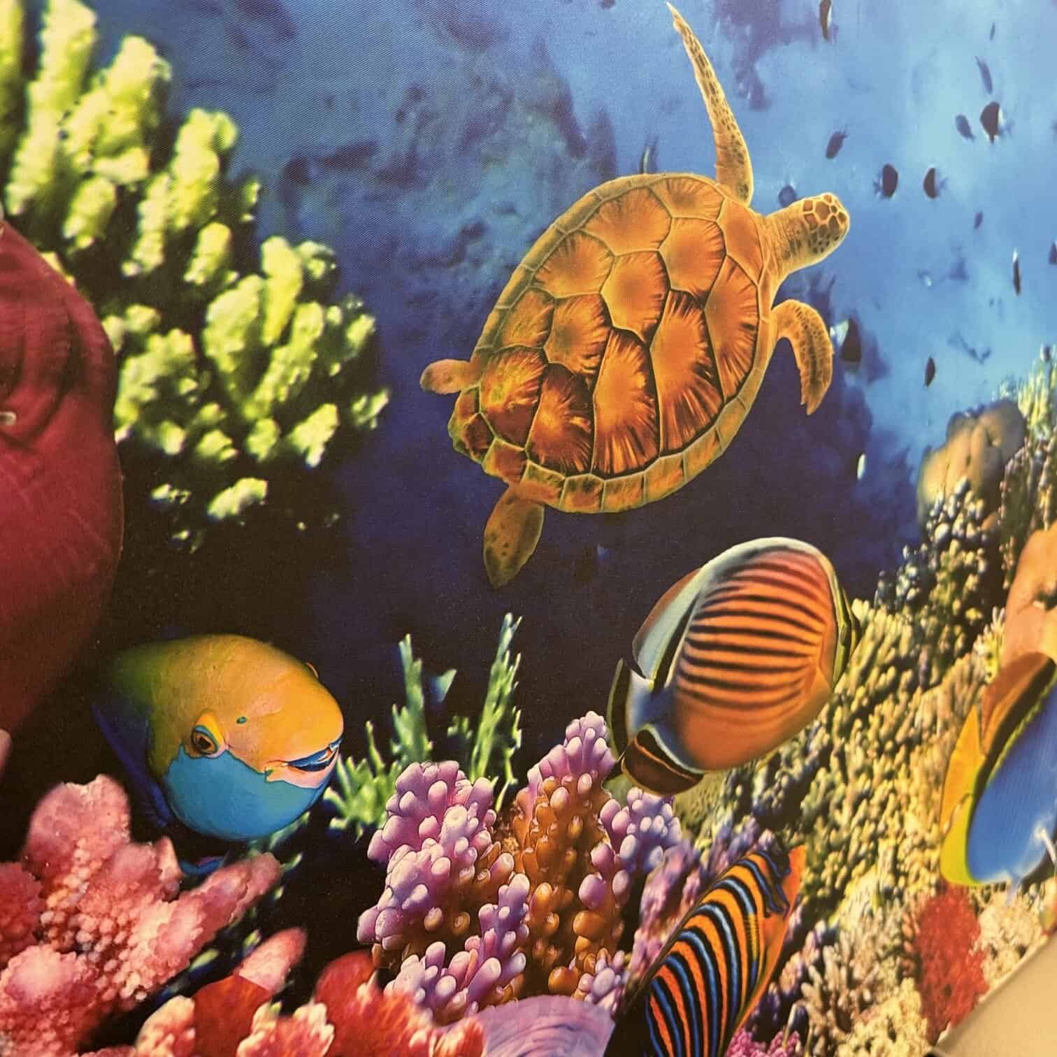 Audekla apdruka, Zivis virs koraļļu rifa, ar LED apgaismojumu Audekla apdruka, Zivis virs koraļļu rifa, ar LED apgaismojumu