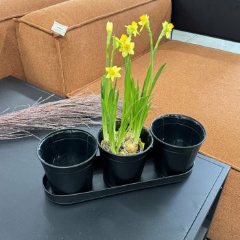 Podu komplekts Nilla