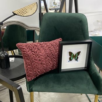 Dekors Taurenis rāmī Papilio Blumei