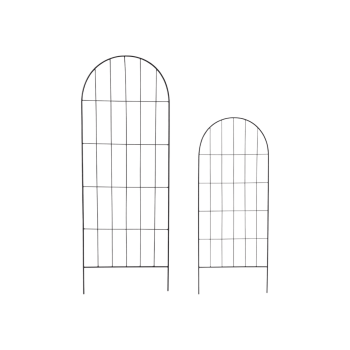 Augu balsts Lexi, 2 gab.