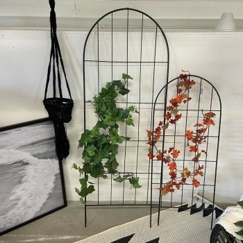 Augu balsts Lexi, 2 gab.