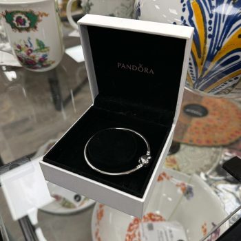 Pandora Moments Infinity Hear