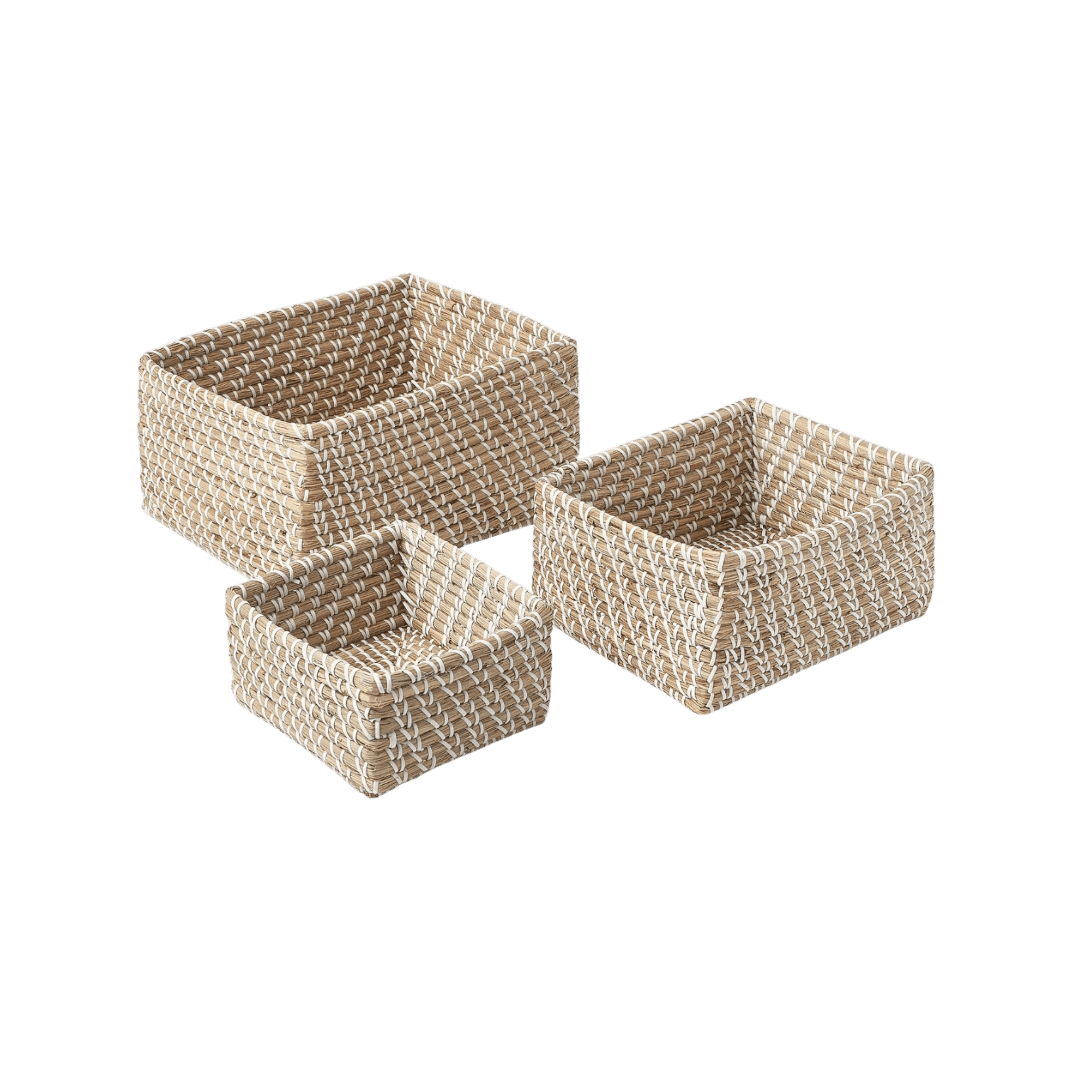 Uzglabāšanas grozi no jūraszālēm, 3gab. Uzglabāšanas grozi no jūraszālēm, 3gab.