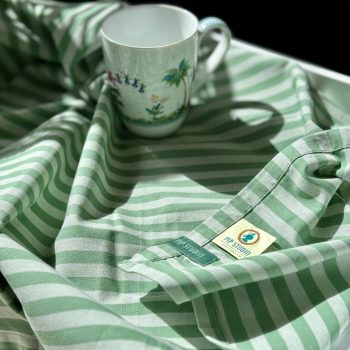 Virtuves dvieļi Stripes Light Green, 65x65cm, 2gab.