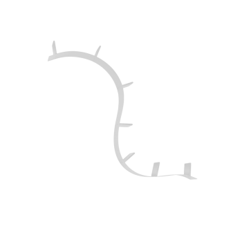 Sienas grāmatu plaukts Bookworm, 7 plaukti