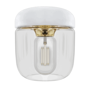 Griestu lampa/kupols Acorn, white/polished brass