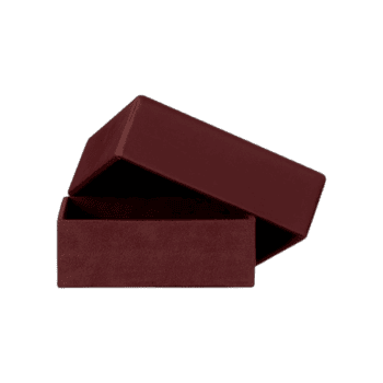 Ādas glabāšanas kaste Theca