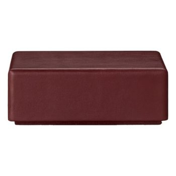 Ādas glabāšanas kaste Theca