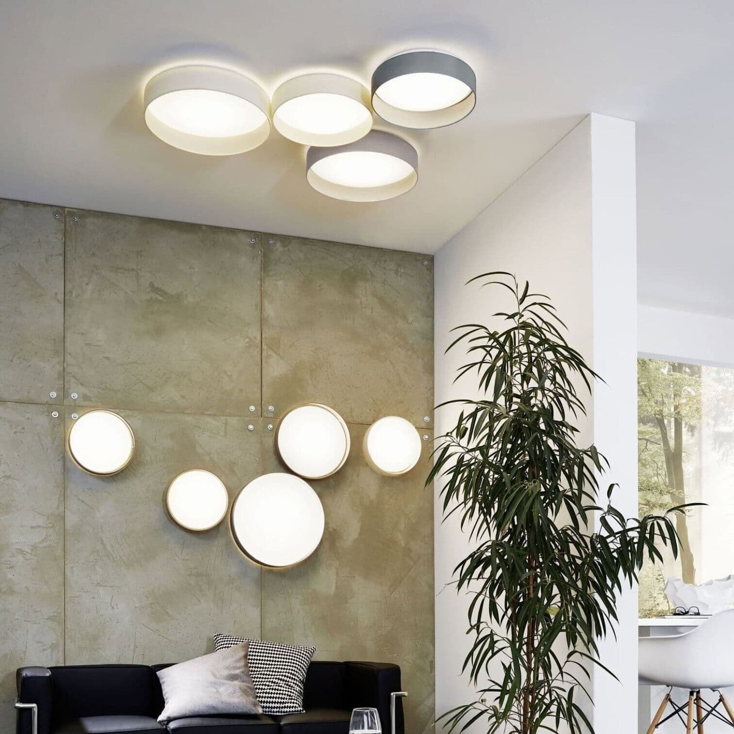 LED griestu lampa Paloma LED griestu lampa Paloma