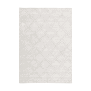 Paklājs Shiny, 160x230cm