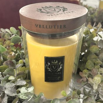 Svece Madagascar Adventure, lielā