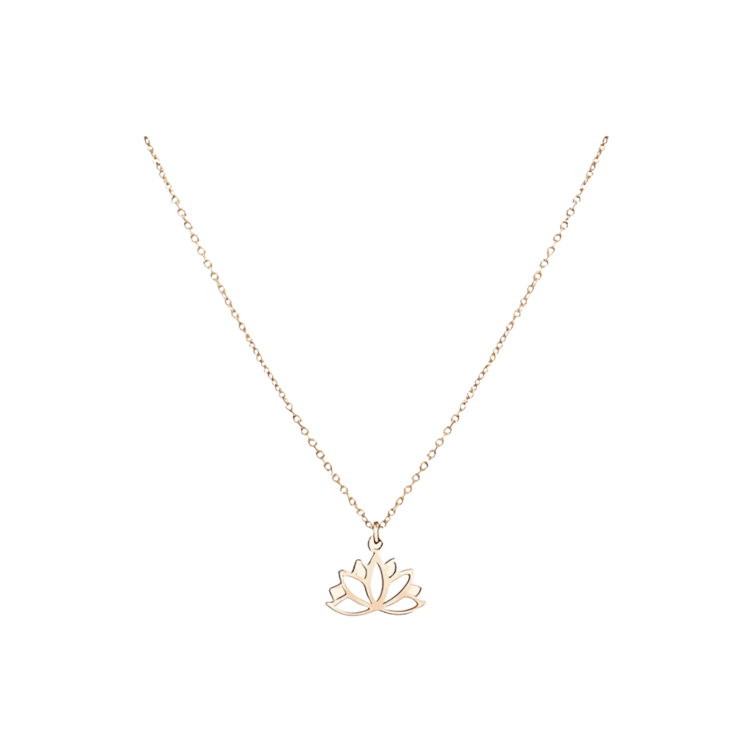 Kaklarota Lotus Kaklarota Lotus