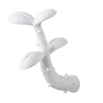 Sienas pakaramais Sprout