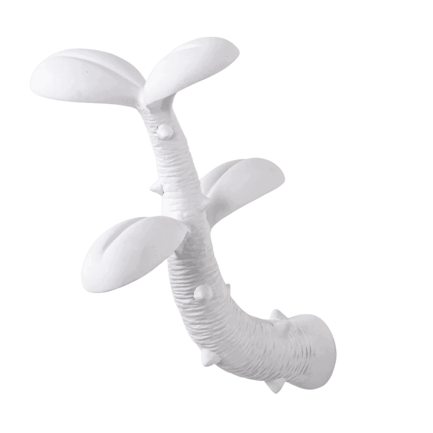 Sienas pakaramais Sprout Sienas pakaramais Sprout