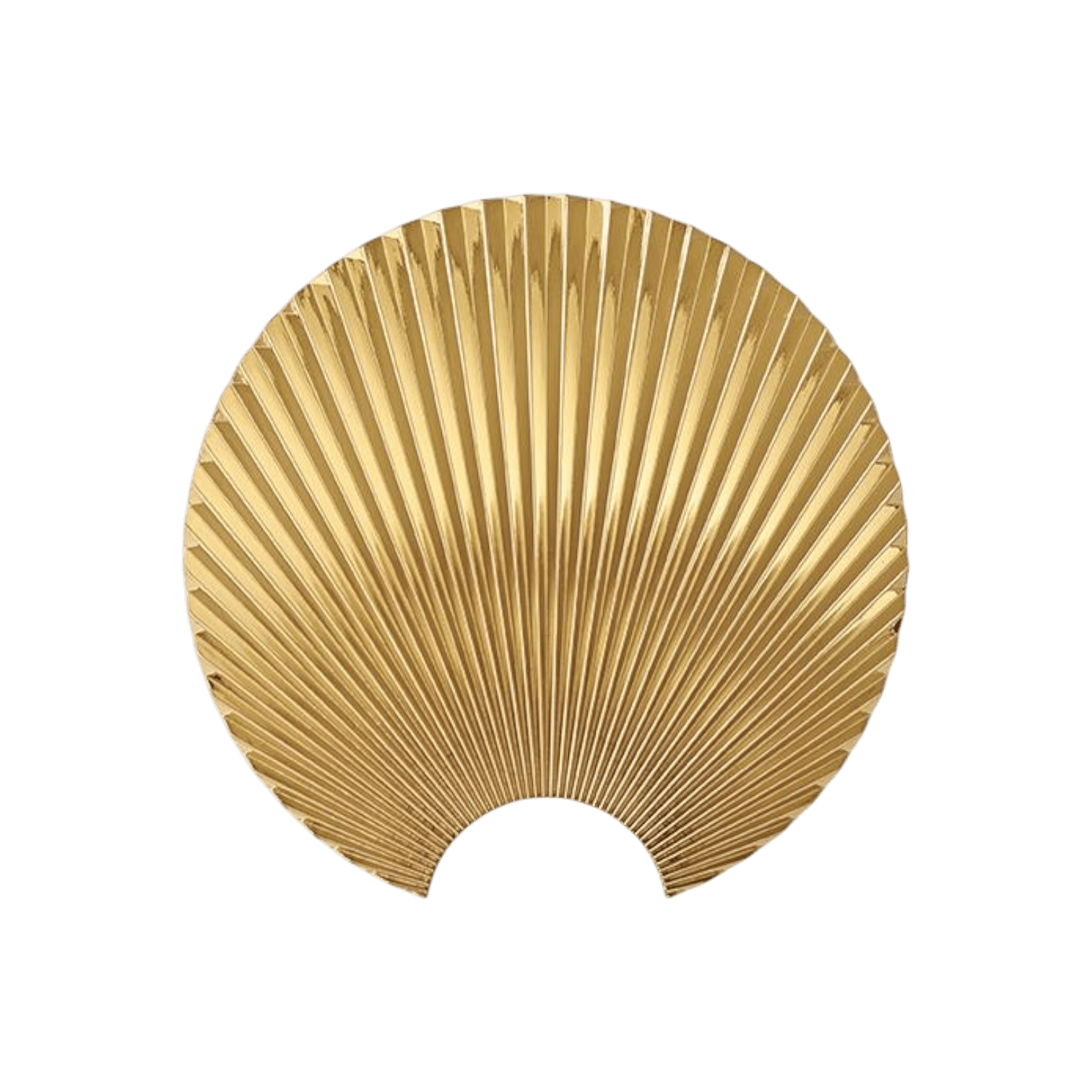 Sienas āķis Concha, L Sienas āķis Concha, L