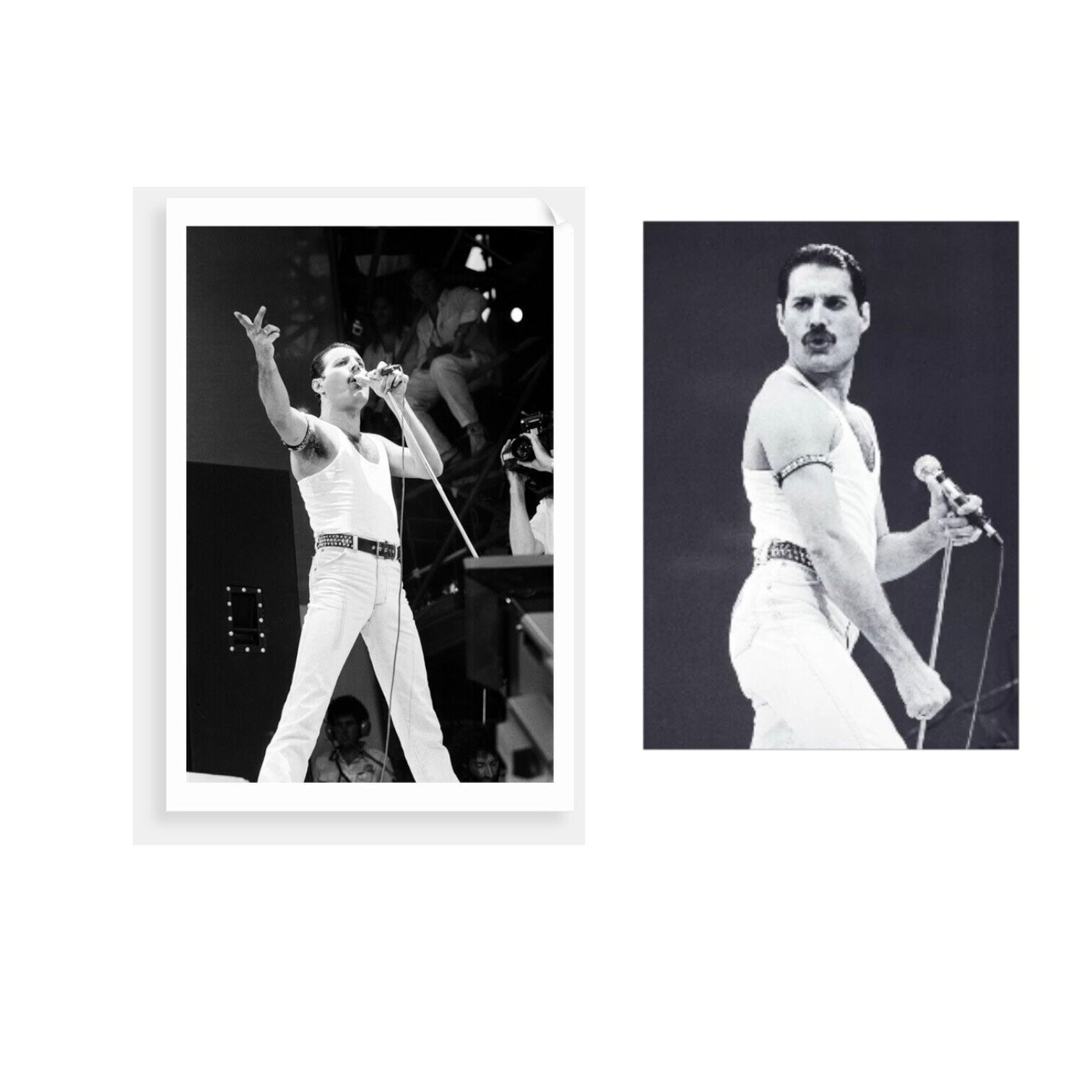 Plakāts Freddie Mercury, 70x100cm, 2gab. Plakāts Freddie Mercury, 70x100cm, 2gab.