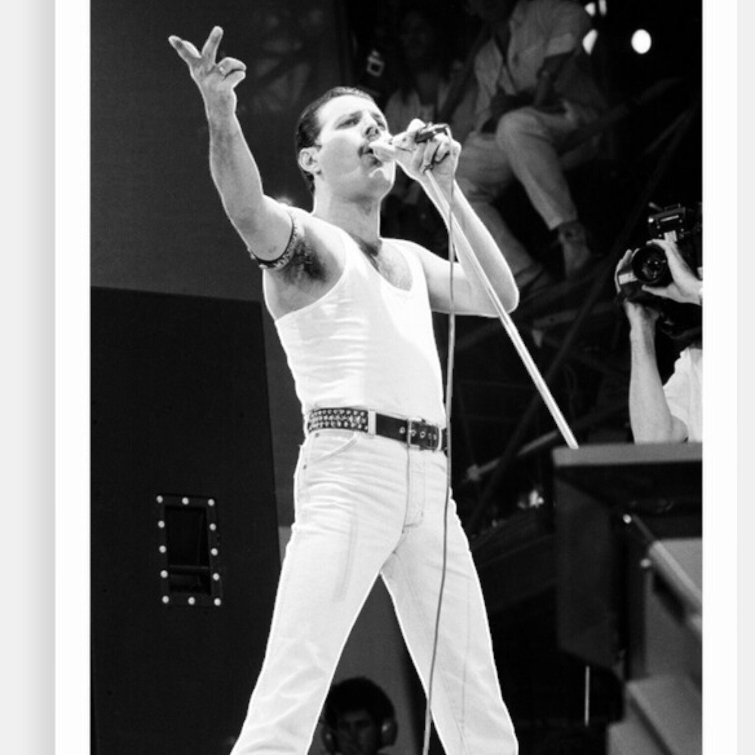 Plakāts Freddie Mercury, 70x100cm, 2gab. Plakāts Freddie Mercury, 70x100cm, 2gab.