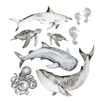 Sienas uzlīmes Happy Ocean, 9gab.