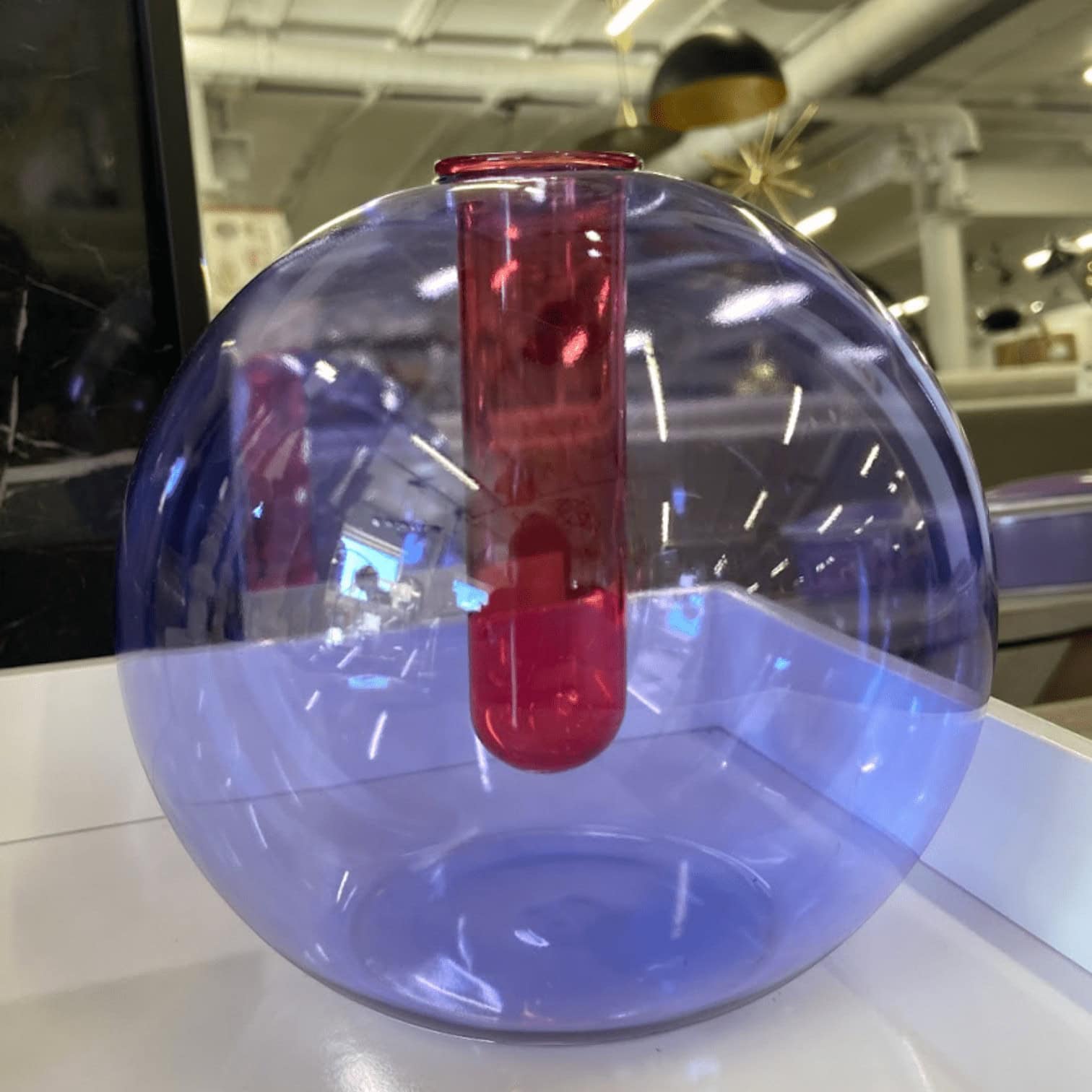 Vāze Blue Rose Vāze Blue Rose