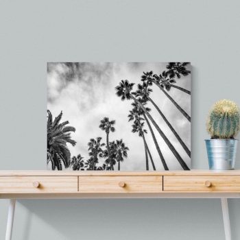 Stikla sienas dekors Palm Trees, 60x80cm