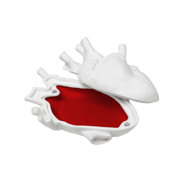 Rotu kaste Love in a box